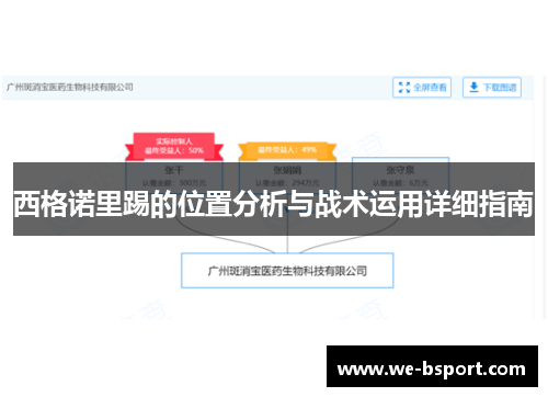 西格诺里踢的位置分析与战术运用详细指南